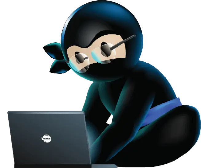 Ninja Character